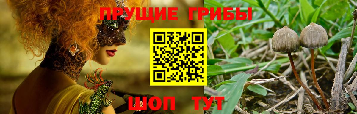 Галлюциногенные грибы мицелий  Вход с VPN  Рязань 